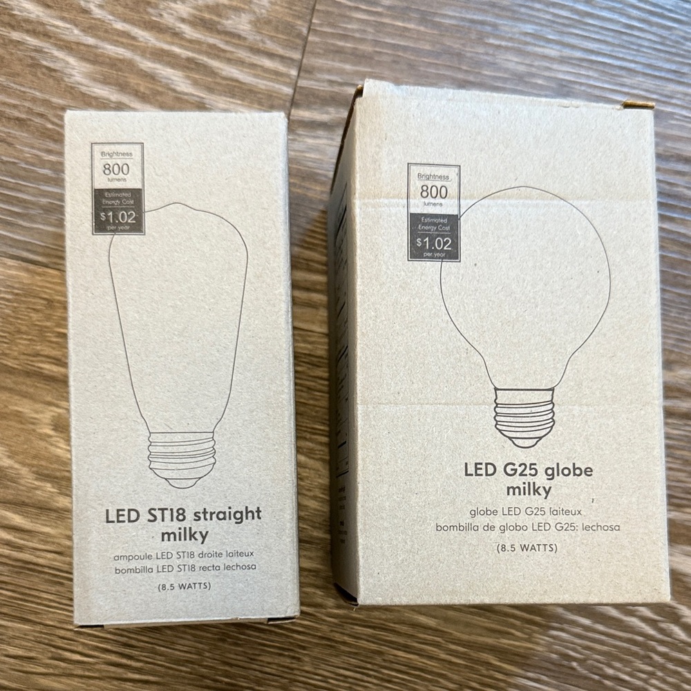 West Elm LED Bulbs in Milky White